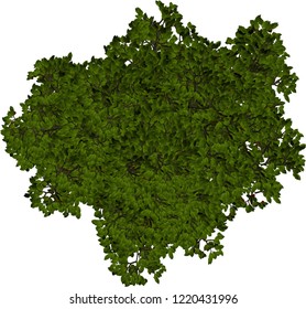 Plant Tree Overhead Icon Top View Stock Photo 1220431996 | Shutterstock