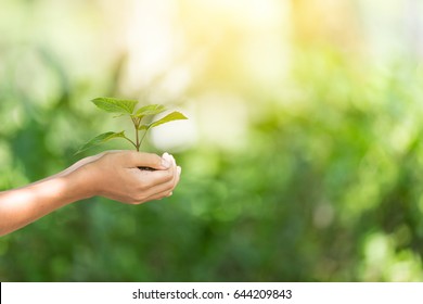 plant a tree.Symbol of spring and ecology concept - Shutterstock ID 644209843
