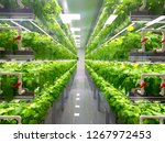 Plant vertical farms producing plant vaccines