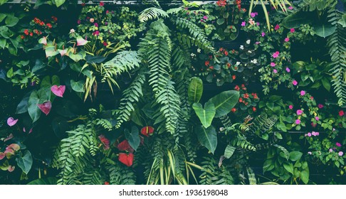 Jungle High Res Stock Images Shutterstock