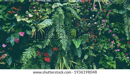 Plant wall with lush green colors, variety plant forest garden on walls orchids various fern leaves jungle palm and flower decorate in the garden rainforest background
