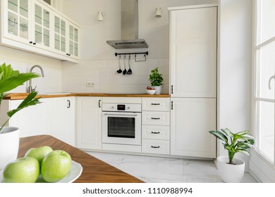 Plant in white minimal kitchen interior with silver cooker hood above wooden countertop. Real photo