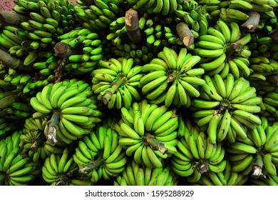 Plantain is a basic raw material and product for all people in Latin America. You can find it selling everywhere in this continent. 