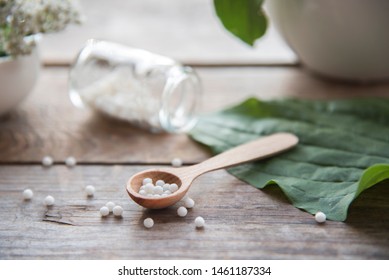 
plantain, herbs, homeopathic granules and capsules. alternative medicine. homeopathy and naturopathy