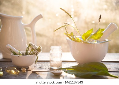
plantain, herbs, homeopathic granules and capsules. alternative medicine. homeopathy and naturopathy - Shutterstock ID 1461187343