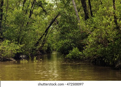 Plantation Bakkie In Surinam