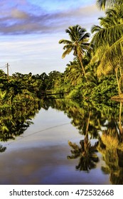 Plantation Bakkie In Surinam