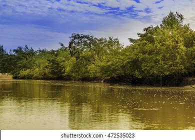 Plantation Bakkie In Surinam