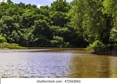 Plantation Bakkie In Surinam