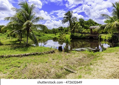 Plantation Bakkie In Surinam