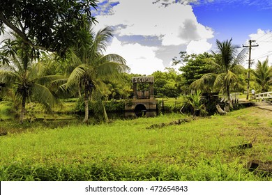 Plantation Bakkie In Surinam