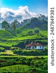 The plantation bungalows of munnar is a treat to watch. Surrounded by the tea plantations, these colonial structures are the key attractions of Munnar