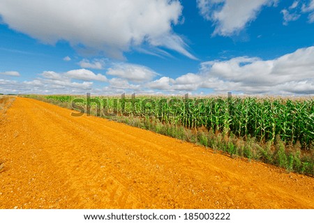 Similar – Image, Stock Photo maize field Landscape Sky