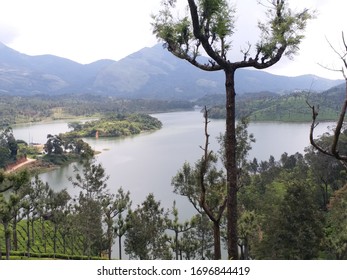 : Tea Plantation And Lake,kannan Devan Hills,munnar,kerala,india