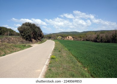Plantation near Solsona, Catalonia, Spain - Shutterstock ID 2240069853