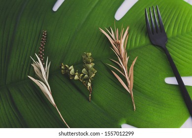 Plant-based Diet Conceptual Still-life, Fork Next To Group Of Mixed Plant Cuttings On Top Of Tropical Leaf