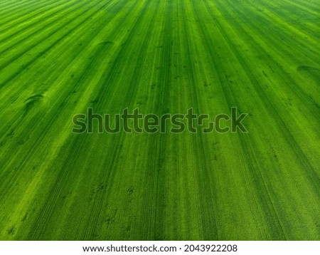 Similar – Image, Stock Photo THE DAMN FIRST YEAR. RAIN IN BANGCOCK™