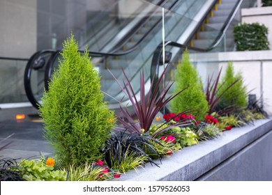 Planter Box Modern Shopping Center Courtyard Stock Photo 1579526053 ...