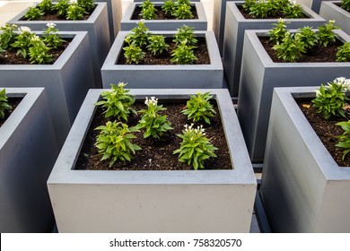 Planter Boxes In A Row