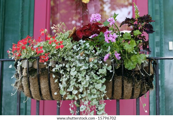 Planter Hanging On Railing Beautiful Flowers Stock Photo 15796702 ...