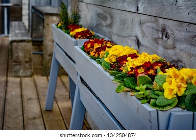 Planters Outside A Seafront Resturant In Worthing