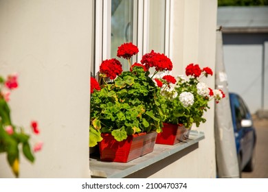 Planters With Red Flowers On The Windowsill Outside The Window