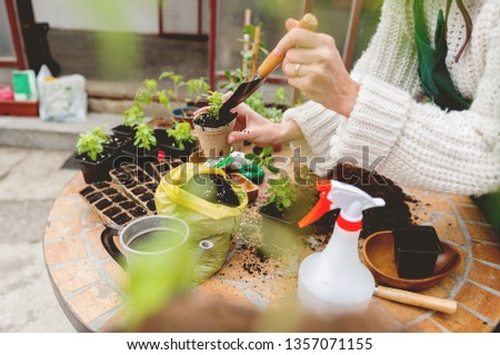 Similar – Image, Stock Photo Woman hands showing to girl young seedlings in pot