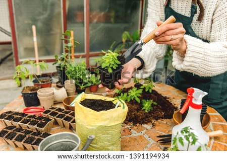 Similar – Image, Stock Photo Woman hands showing to girl young seedlings in pot