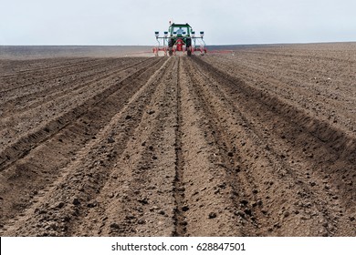 Planting The Crops In The Spring