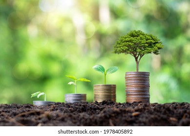 Planting And Developing Trees On Coin Piles As Well As Green Nature Background Blur The Concept Of Financial And Economic Growth.