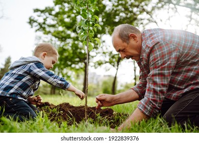 192,472 Plant Tree Family Images, Stock Photos & Vectors | Shutterstock