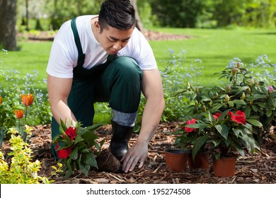 Planting Flowers In A Beautiful Green Garden