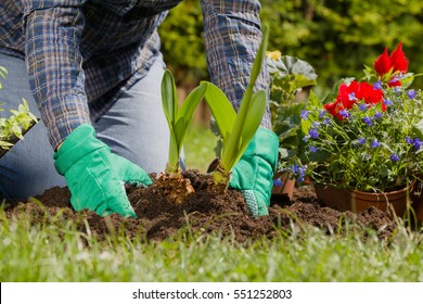 Planting Flowers In The Garden Home 