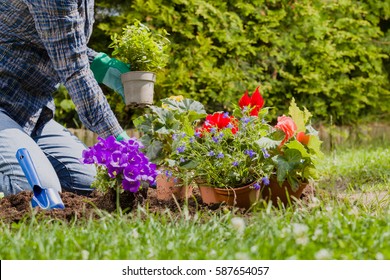 Planting Flowers In The Garden Home 