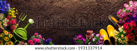 Planting flowers in garden,Horticulture and gardening concept