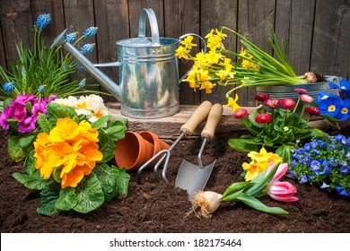 12,974,693 Spring Garden Stock Photos, Images & Photography | Shutterstock