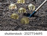 Planting a gold bitcoin coins into the earth, close up. Virtual cryptocurrency mining concept. Metal golden bitcoin cryptocurrency coins and shovel gardening tool in garden