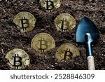 Planting a gold bitcoin coins into the earth, close up. Virtual cryptocurrency mining concept. Metal golden bitcoin cryptocurrency coins and shovel gardening tool in garden