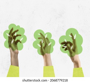 Planting Of Greenery. Female Hands Like Green Trees Isolated On Light Background. Modern Design. Conceptual, Contemporary Art Collage. Eco, Ecology, Care. Environmental Challenges