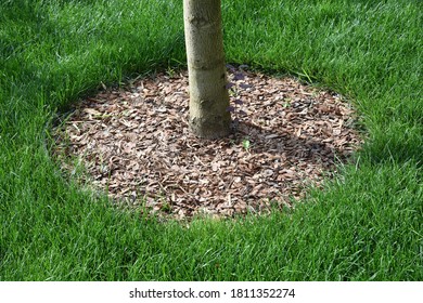 Mulch Bed Hd Stock Images Shutterstock