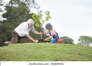 planting park bonding child grandfather family togetherness eco - Powered by Shutterstock