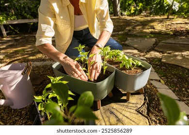 Planting seedlings in pots, senior woman gardening in backyard on sunny day. horticulture, plants, outdoor, nature, spring, sunlight - Powered by Shutterstock