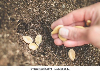 Planting Seeds Porn