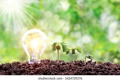 Planting small trees beside the bulbs. Energy and environmental concepts. - Shutterstock ID 1424729276
