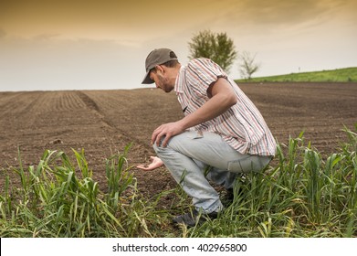Planting soybean on field - Shutterstock ID 402965800