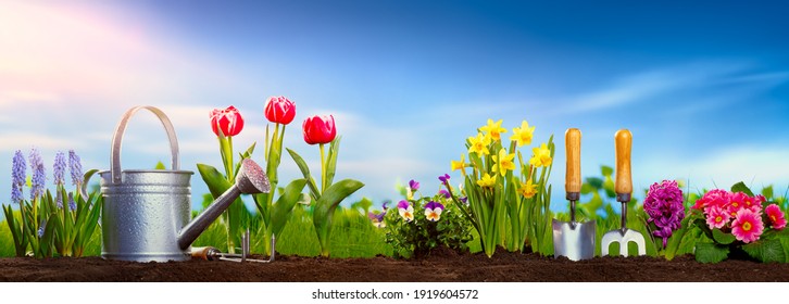 Planting Spring Flowers In The Garden