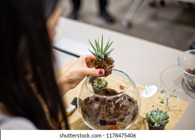 Planting Succulent Terrarium