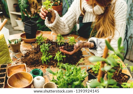 Similar – Image, Stock Photo Woman hands showing to girl young seedlings in pot