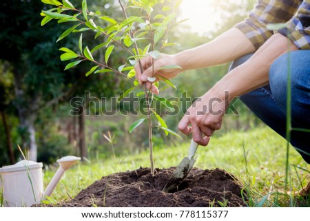 Planting a tree. Close-up on young man planting the tree, then watering the tree. Environment and ecology concept