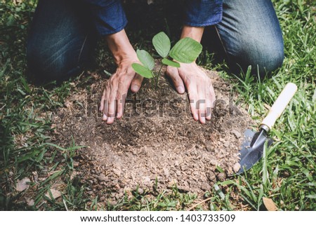 Planting a tree, Two hands of young man were planting the seedlings and tree growing into soil while working in the garden as save the world, earth day, nature, environment and ecology concept.